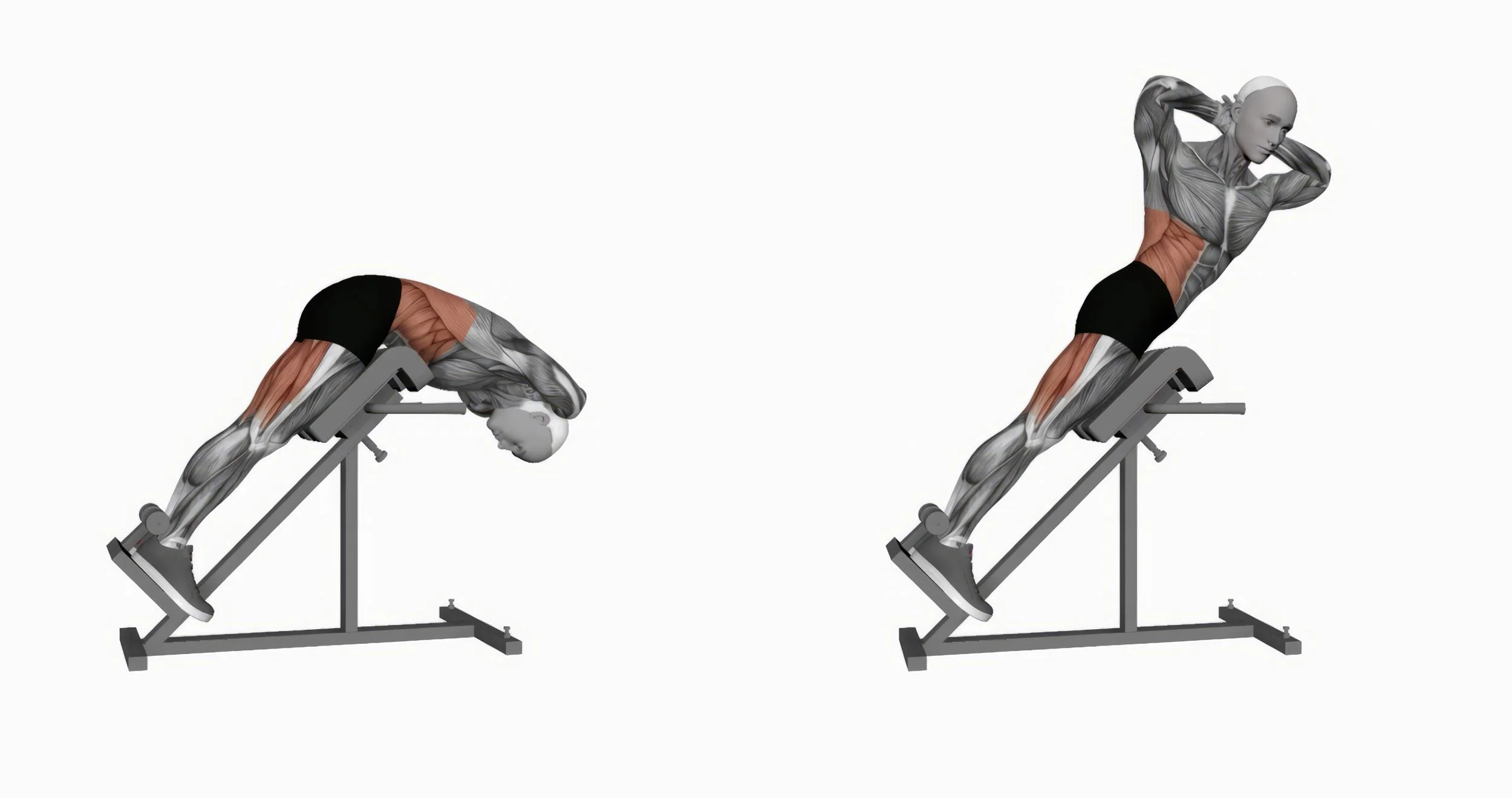 Manfaat Utama Hyperextension Bench untuk Stabilitas Inti